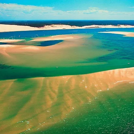 Charmante Maison Avec Jardin A Arcachon, Parfaite Pour 6 Personnes בית נופש ארסשון