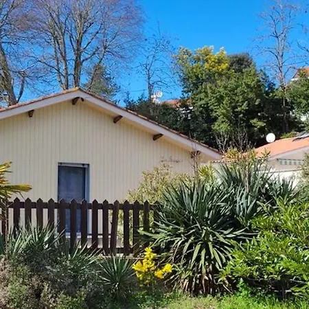 Charmante Maison Avec Jardin A Arcachon, Parfaite Pour 6 Personnes Prázdninový dům *