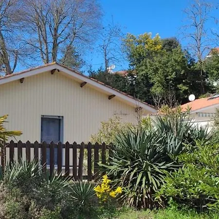 Charmante Maison Avec Jardin A Arcachon, Parfaite Pour 6 Personnes