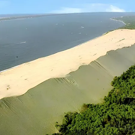 Charmante Maison Avec Jardin A Arcachon, Parfaite Pour 6 Personnes 度假居 阿卡雄